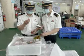岭南荔枝“领鲜”出圈，从化海关助辖区荔枝首次出口西班牙图片