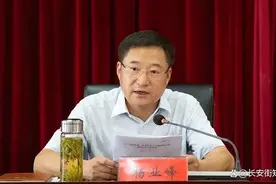 杨业峰被双开，近于全面破纪图片
