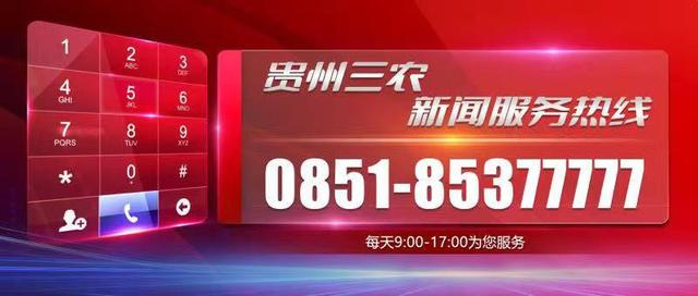 紫云：清凉避暑游火爆 “凉资源”变身“热经济”