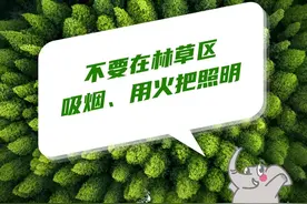 云南省2023年度考试录用公务员补充录用公告图片
