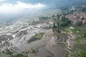 【关注】来，一起解密……图片