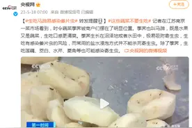 谨防“虫从口入”！生吃马蹄易感染姜片虫图片