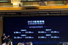 售9.98-14.28万元 2023款长城商用炮上市图片