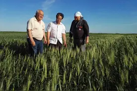 中哈携手共筑农业繁荣之路图片