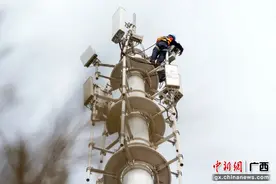 开采“数据”富矿 广西电信助力八桂“链”上新动能图片