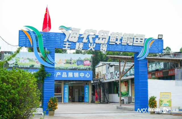 鳄鱼可以和花胶炖吗 2024年鳄鱼可以和花胶炖吗