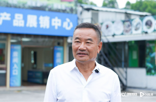 鳄鱼可以和花胶炖吗 2024年鳄鱼可以和花胶炖吗