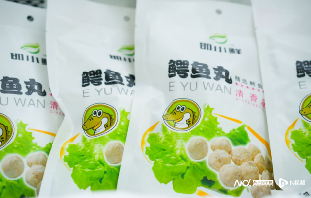鳄鱼可以和花胶炖吗 2024年鳄鱼可以和花胶炖吗