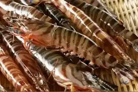 孕妈们该如何健康饮食？海鲜篇图片