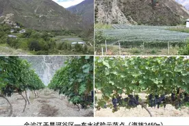 中国科学家牵头完成！破解这个百年谜题图片