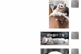 大发现！微信还有五个“隐藏”功能！图片