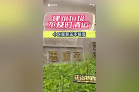 建筑垃圾乱堆放扰民2年多 居民反复投诉依然无果图片