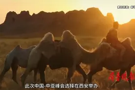 果然视频·峰会解读｜中国-中亚峰会为什么在西安举办？图片