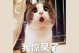 男子同时交往3女子，诈骗300余万元！闵行警方破获婚恋诈骗案图片