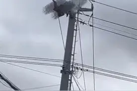 江苏扬州一男子爬电线杆触电身亡？警方：已出警，原因正调查中图片