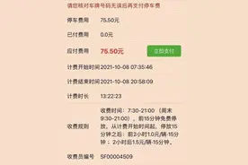 南宁道路停车费一天近百元合理吗？官方：正在调研，将优化收费、合理划定车位图片