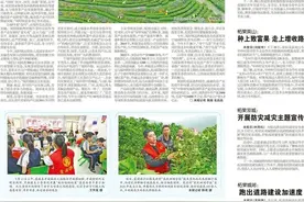 茶乡视点 | 寿宁凤阳：甜美田园茶飘香图片