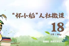 怀小稻人社微课第37期|考公考编信息去哪查？图片