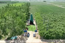 “黄金热”又传利好消息：山东发现世界级大金矿图片