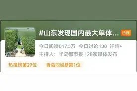 冲上热搜！总量580吨，国内最大！山东发现“宝藏”了，家人们图片