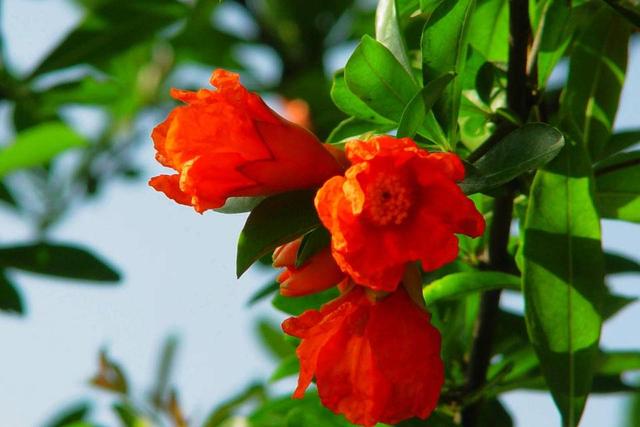 人啥时候也不应忘了“本”/随笔