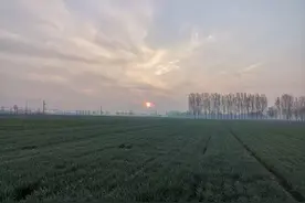 “二大娘”骂街（小小说）图片