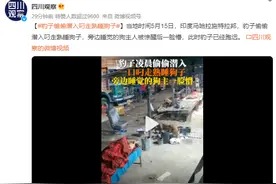 豹子闯入印度男子家中偷狗 偷偷潜入叼走熟睡狗子图片