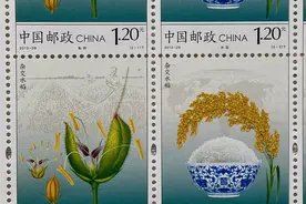 谨以此文缅怀袁隆平院士——杂交水稻走上邮票图片
