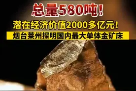 热闻|总量580吨国内最大，山东发现宝藏了！网友：世界级的！图片