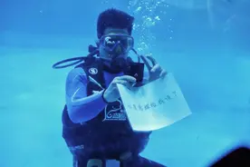 浪漫！白鲸助攻，小伙水下求婚图片