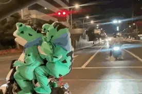 “网红青蛙”在襄阳“落网”！图片