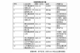 中国民企十强：京东居首，阿里第二，北京广东势均力敌各占三席图片