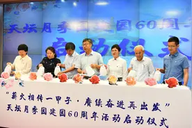 天坛公园月季园迎六十岁生日，“月季大师”开门收徒图片