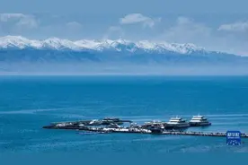 夏日青海湖图片