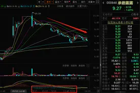 杏仁露龙头最新回应未“染酱”，专注植物饮品领域再出新招图片