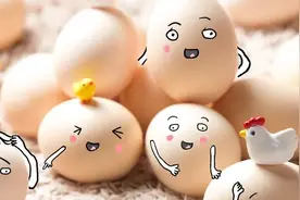 鸡蛋生吃可以吗？无菌蛋更有营养吗？图片