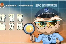 涉案逾百亿！揭开巨额“虚开”背后的秘密图片