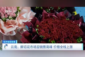 云南鲜切花市场迎销售高峰！玫瑰“弗洛伊德”拍出全年最高价图片