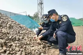 天津新港海关查获天津口岸今年最大数量“洋垃圾” 总重超533吨图片