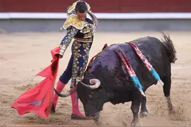 （外代一线）西班牙圣伊西德罗节上的斗牛表演图片