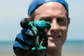 （外代一线）哥斯达黎加：清理海滩垃圾图片