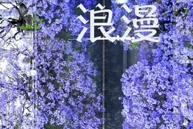 “520”动态海报丨当彩云之南回眸一笑，心动了图片