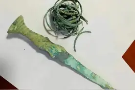 小伙马路边买了把剑，竟然是战国时期文物……图片