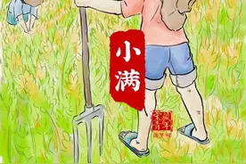 关于小满的24句话！图片