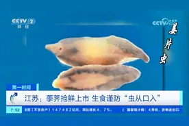 小心！生吃这几种蔬菜，容易感染寄生虫！图片