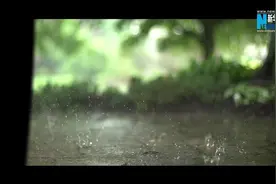 小满里的中国智慧丨物至于此，小得盈满图片
