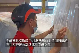 海南自贸港顺利完成首单A350机型飞机整机喷涂业务图片