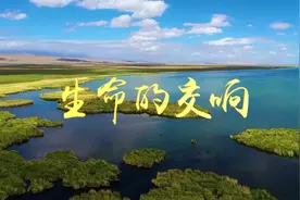 微视频｜生命的交响图片