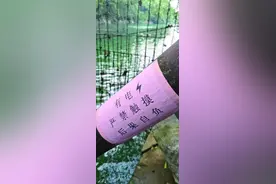 什么情况？广西这处河流竟带电！市民下水总感到酥麻图片