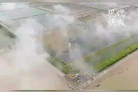 412种！盐城条子泥湿地鸟类家族再添2种新成员图片